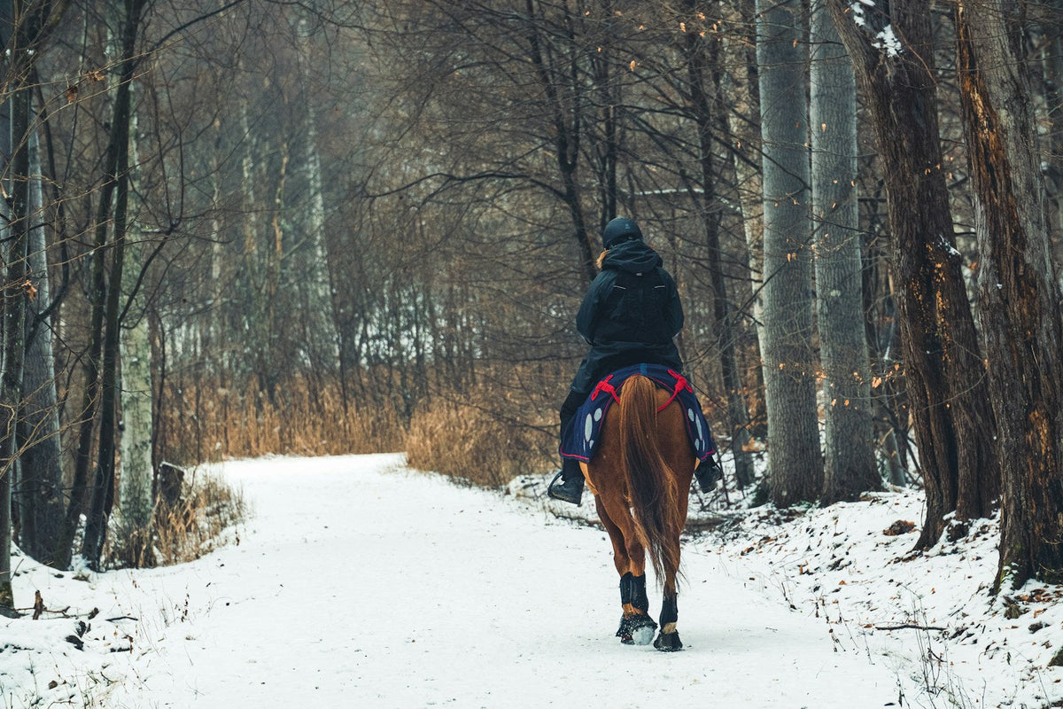 Cavalier à cheval sur un sentier enneigé en forêt