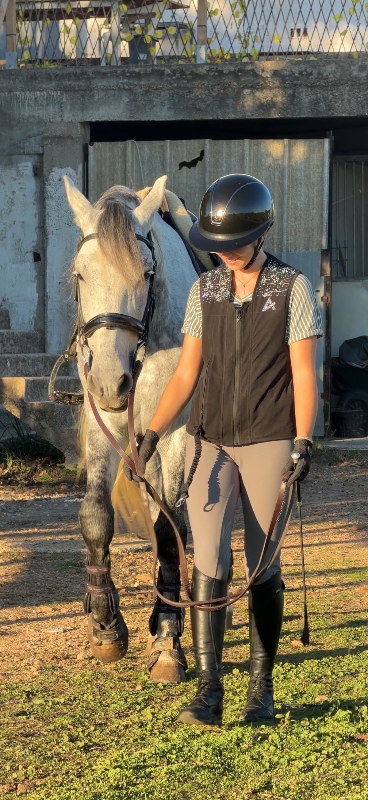 Création FLOWER AXION Equestrian